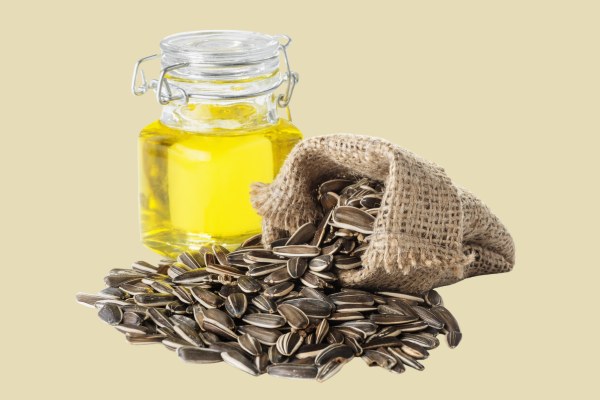 Sunflower oil unrefined